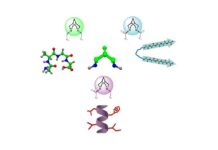 Researchers devise new strategy for developing drug molecules Researchers devise new strategy for developing drug molecules