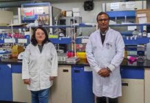 Orange-peel derived hydrochar to convert biomass into biofuel precursors Orange-peel derived hydrochar to convert biomass into biofuel precursors