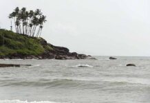 Initiatives to conserve marine resources Initiatives to conserve marine resources