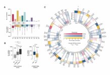 New insights into COVID-19 RNA variations and their implications New insights into COVID-19 RNA variations and their implications