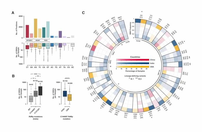 New insights into COVID-19 RNA variations and their implications