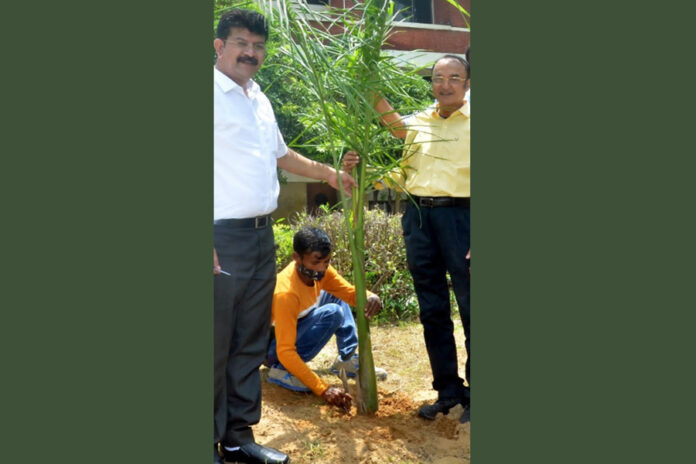 World Environment Day: Moradabad's Arvind Goel says connect with nature in your everyday life