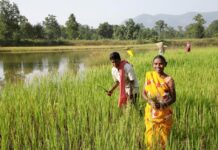 BALCO transforming the lives of farmers in the vicinity BALCO transforming the lives of farmers in the vicinity