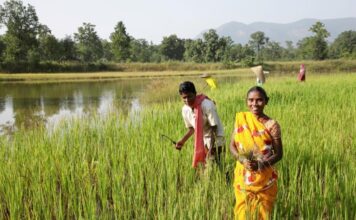 BALCO transforming the lives of farmers in the vicinity BALCO transforming the lives of farmers in the vicinity