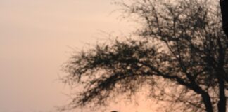 From a successful shooting coach to a Fashion entrepreneur-Such is the story of Sukhraj Chauhan Sukhraj Chauhan