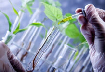 IISF 2022: Startup Conclave to focus on Biotech Innovation Ecosystem IISF 2022 Startup Conclave to focus on Biotech Innovation Ecosystem