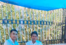 Humanaro Foundation conducted an awareness campaign by distributing saplings on World Environmental Day Humanaro Foundation conducted an awareness campaign by distributing saplings on World Environmental Day