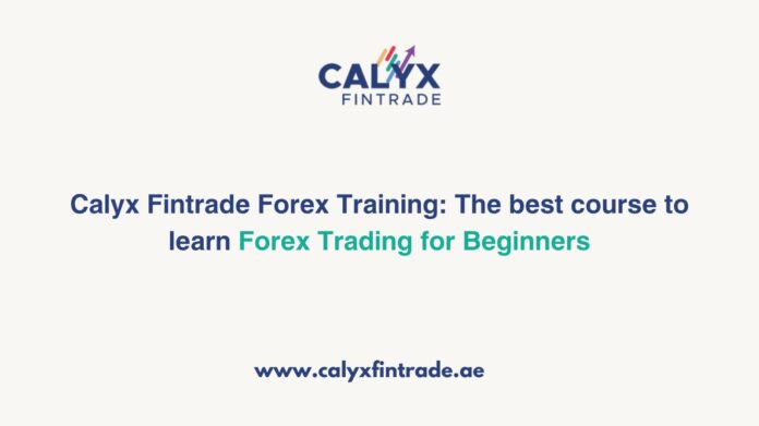 Calyx Fintrade Offers The Best Course to Learn Forex Trading for Beginners