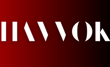 The Next Supreme? How Havvok is Setting New Benchmarks in Indian Streetwear Indian Streetwear, Havvok