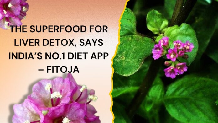 Punarnava, Ayurvedic Herb, Fitoja, India’s No.1 diet and detox app