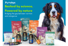 Because Our Dogs Deserve Better: The Heart and Science Behind Poochyx India
