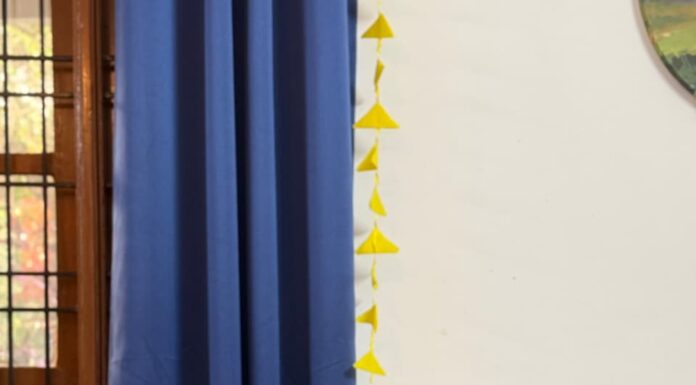 How a Lost Puppy Found a Home: The Heartwarming Story of Enzo by Author Dr. Rochna Roy Author Dr. Rochna Roy