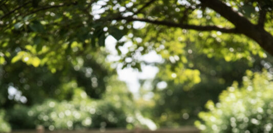 Exploring Love and Inner Truths in Soliloquies: Echoes of the Mind by Author Arunabha Ghosh Author Arunabha Ghosh