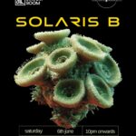 From Radio Waves to Real-World Experiences: Solaris B Launches a New Era of Immersive Progressive House Culture with Aurora Bloom DJ Solaris B , Solaris B,