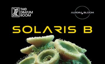 From Radio Waves to Real-World Experiences: Solaris B Launches a New Era of Immersive Progressive House Culture with Aurora Bloom DJ Solaris B , Solaris B,