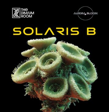 From Radio Waves to Real-World Experiences: Solaris B Launches a New Era of Immersive Progressive House Culture with Aurora Bloom DJ Solaris B , Solaris B,
