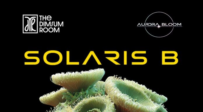 From Radio Waves to Real-World Experiences: Solaris B Launches a New Era of Immersive Progressive House Culture with Aurora Bloom DJ Solaris B , Solaris B,